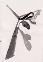 http://www.soerenhiob.com/files/gimgs/th-99_neue scanns februar 5 11_v2.jpg